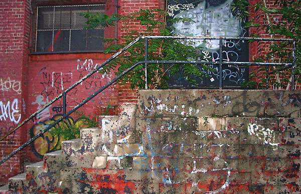 fredhatt-2003-weeds-on-stairs